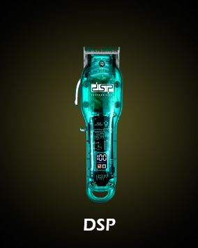 dsppp